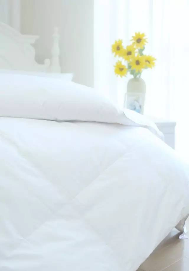 100m0f0000007jg0882EC_R_1024_10000_Q90