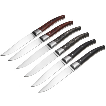 Garwin mix colors handle steak knives