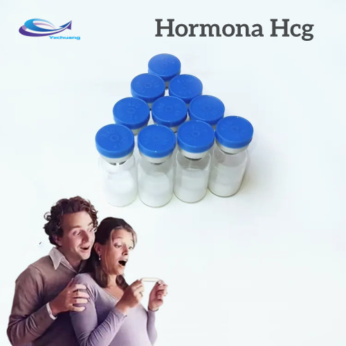 Hormone HCG function