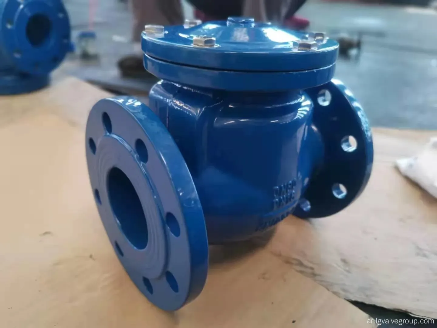 DIN3352-F6 DUCTILE الحديد الزهر الحديد متلوهة صمام فحص