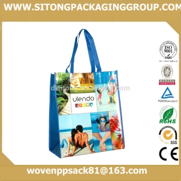 Promotional Handle PP Grocery bag