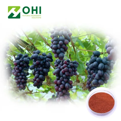 Grape Skin Extract Resveratrol 98%