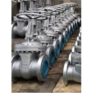 Class 300 10 Inch gate valve