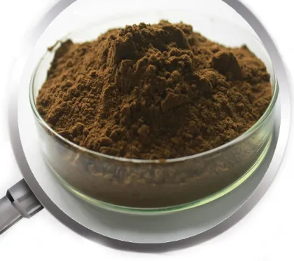 Polyphenols Yerba Mate Extract powder Yerba Mate Tea