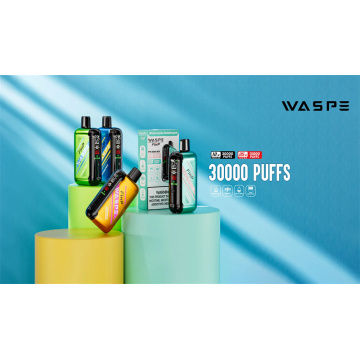 Waspe FW 30000 Puffs Disposable Vape Europe Warehouse