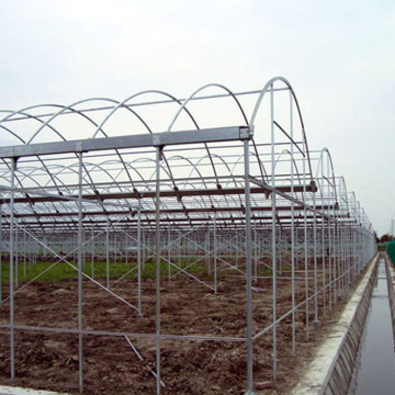 Venlo Multi-Span PC Board Greenhouse