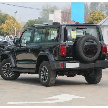 Top Selling GWM Great Wall Tank 300 Light SUV in 2023: A Hot Choice in Chinese Cars