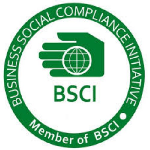 BSCI
