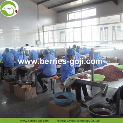 Factory Supply Fruit Nutrition Dried Fruit Goji Berries