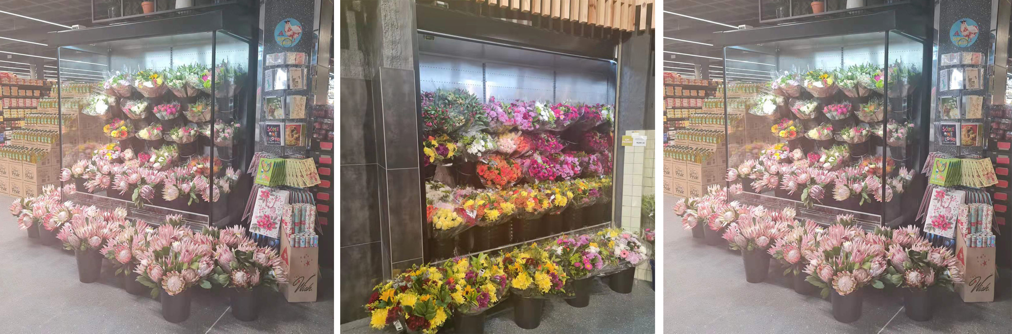 Vertical frozen florist refrigerated display case 