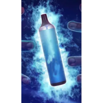 Pure Taste Electronic Cigarette Disposable Vape