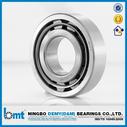 Cylindrical Roller Bearings Nu305e