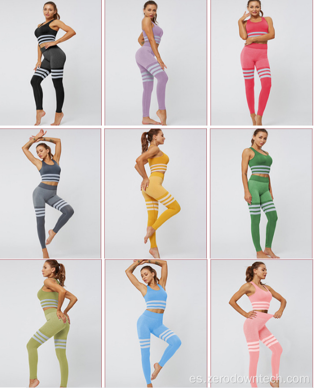 Ropa de entrenamiento Sujetador deportivo sin costuras Leggings de yoga Conjunto de 2 piezas Conjunto de yoga sin costuras Ropa deportiva Ropa de gimnasio