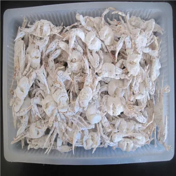 delicious seafood frozen Tangyang sea crab