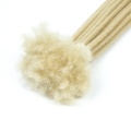 613 Farbe Faux Locs Häkelhaar