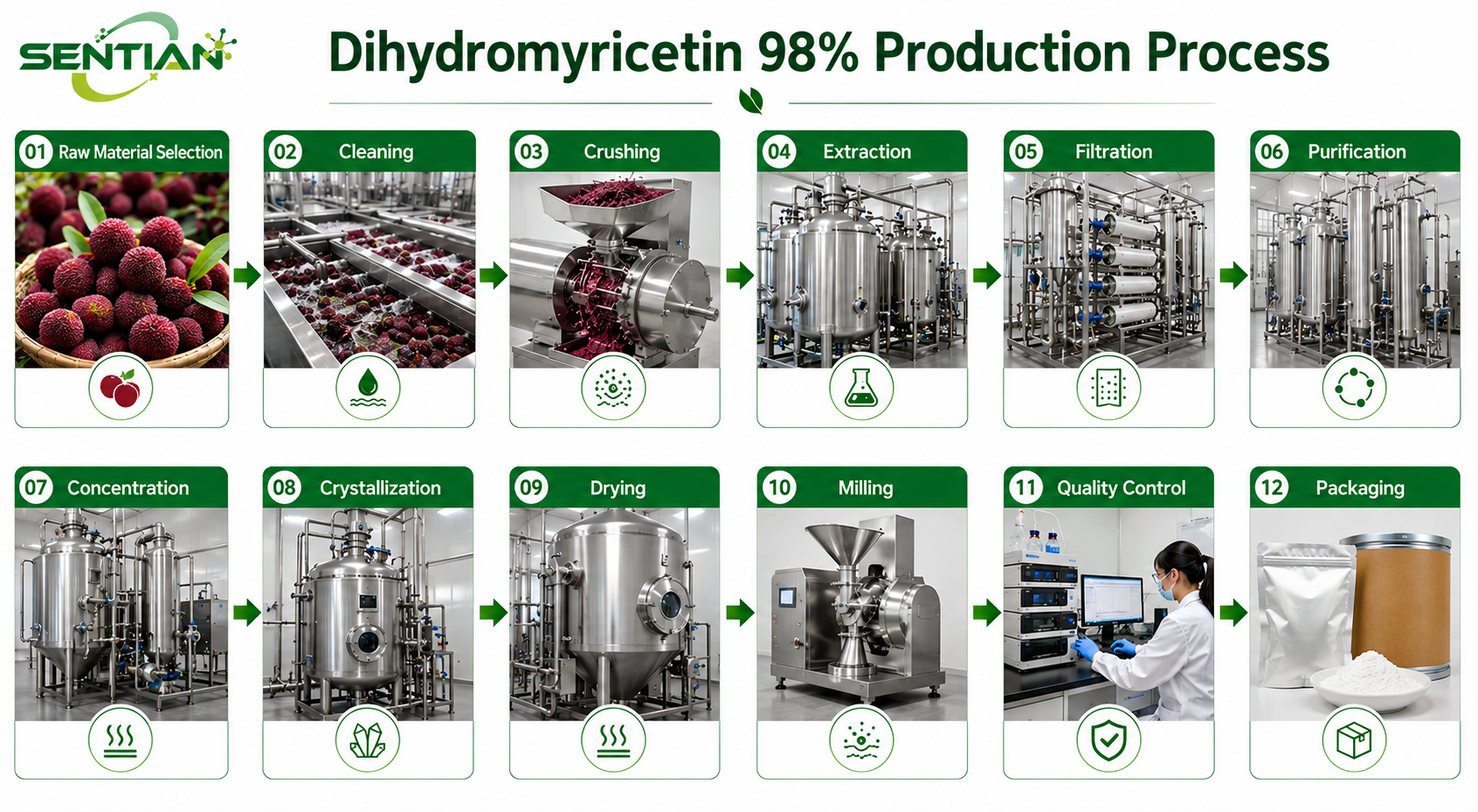 Dihydromyricetin 98%1
