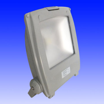 30W NEW LED Flood light-Single color