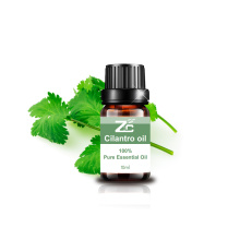 Hot Selling Cilantro Essential Oil Coriander Leaf for Aroma