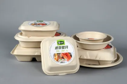 compostable packaging bagasse sugarcane disposable tableware food boxes