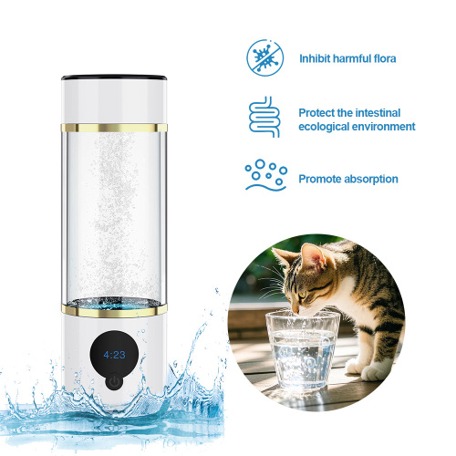 Type-C 5000ppb Hydrogen Water Generator Bottle