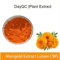 Marigold Extrait Lutein CWS 5%