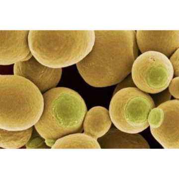 Food Flavor Enhancer Yeast Extract Powder Yeast