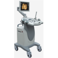 Trolley Ultraschallmaschine Farbdoppler -Scanner