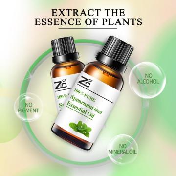 Spearmint Essential Oil Natural