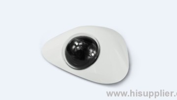 Push Alarm Function 720p Dome Ip Cameras 