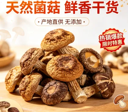 even-Color Mushroom Soup Dumplings