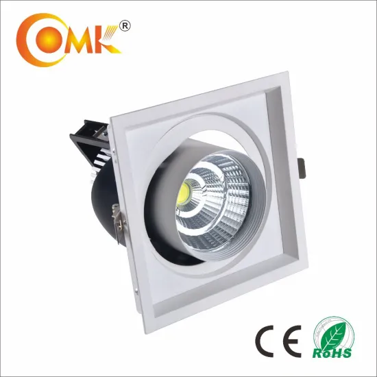 LED Adjustable Grille Light