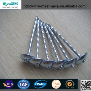Polished umbrella head hot selling nails