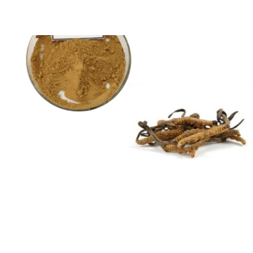 Best Price Cordycepin Cordyceps Sinensis Extract Powder