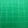 Plastic Square Anti Bird Netting