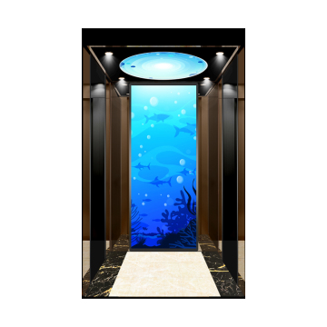 Custom Passenger Elevators: Hotel Luxury Elevator 600kg 8-Passenger Lift