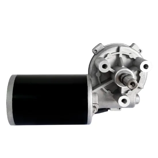 Maintex 24V 80W 5Nm Robot Worm Gear Motor