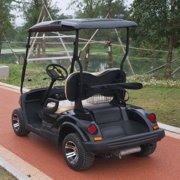 Golf de gasolina estilo Yamaha de 2 plazas con cubo de hielo