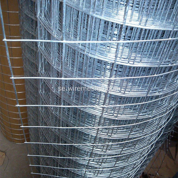 2 &#39;&#39; X 2 &#39;&#39; Svetsade Wire Mesh Rolls