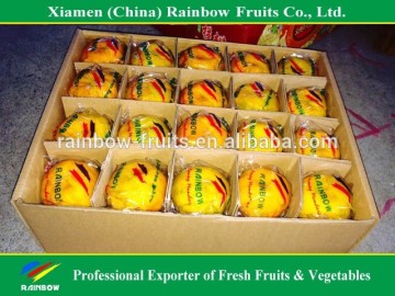 fresh citrus/fresh mandarin/chinese lokam mandarin