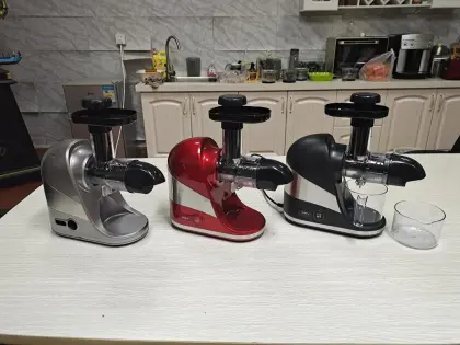 New style horizontal juicer multi-application masticating Juicer