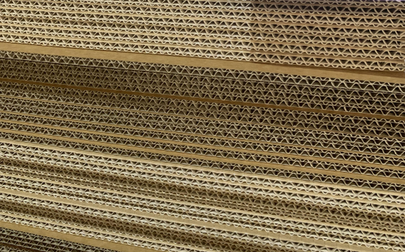 cardboard