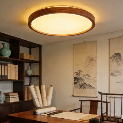 Ultra thin flush ceiling light
