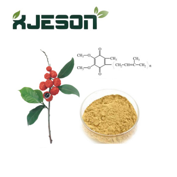 Natural Guarana Extract Powder