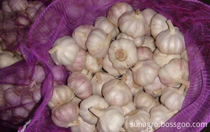 The bags of garlic