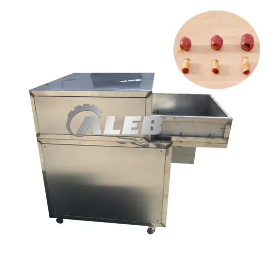 Professional Stainless Steel Plum & Cherry Pitter Machine - Hot Sale
