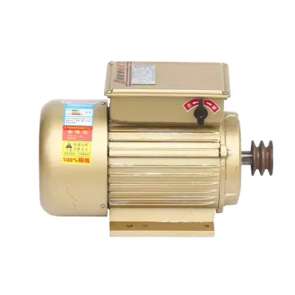 220V AC Single-Phase Motor for Agricultural Machinery