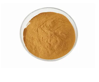 Pure Mogroside V Monk Fruit Extract