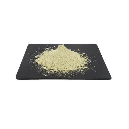 Pumpkin Seed Protein 60% Powder Pure Natural
