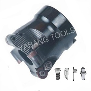Emr Series Face Milling Cutters for Rpmw1003; Rpmt10t3