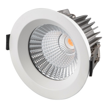 IP65 wasserdichte Outdoor -Eingeborene Downlight 10W 4 Zoll CE ROHS